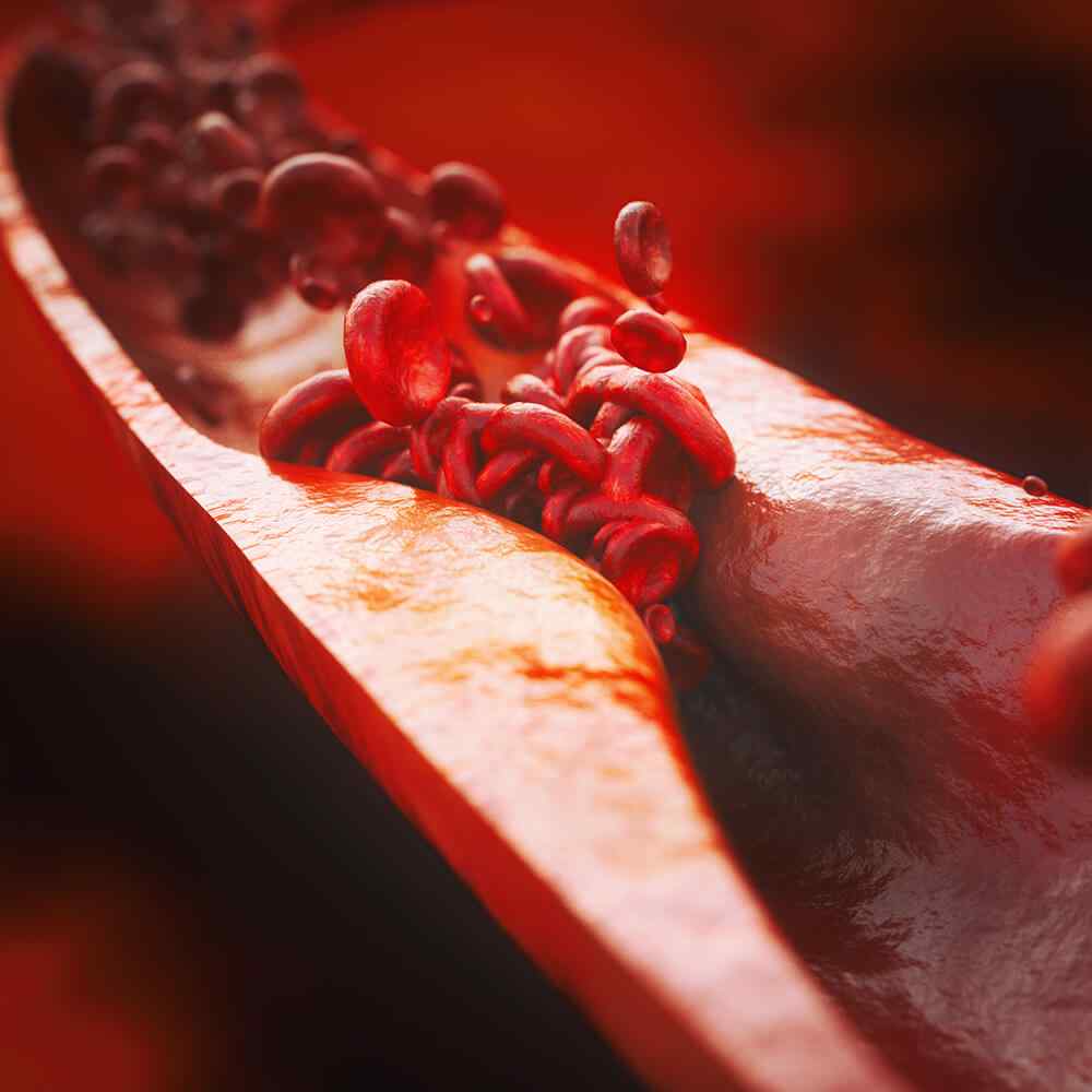 https://hydrationcorner.com/wp-content/uploads/2021/08/inner_image_01-3.jpg