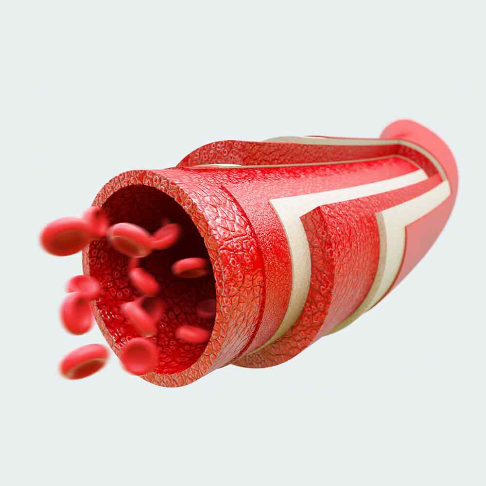 https://hydrationcorner.com/wp-content/uploads/2021/08/inner_image_07-2.jpg