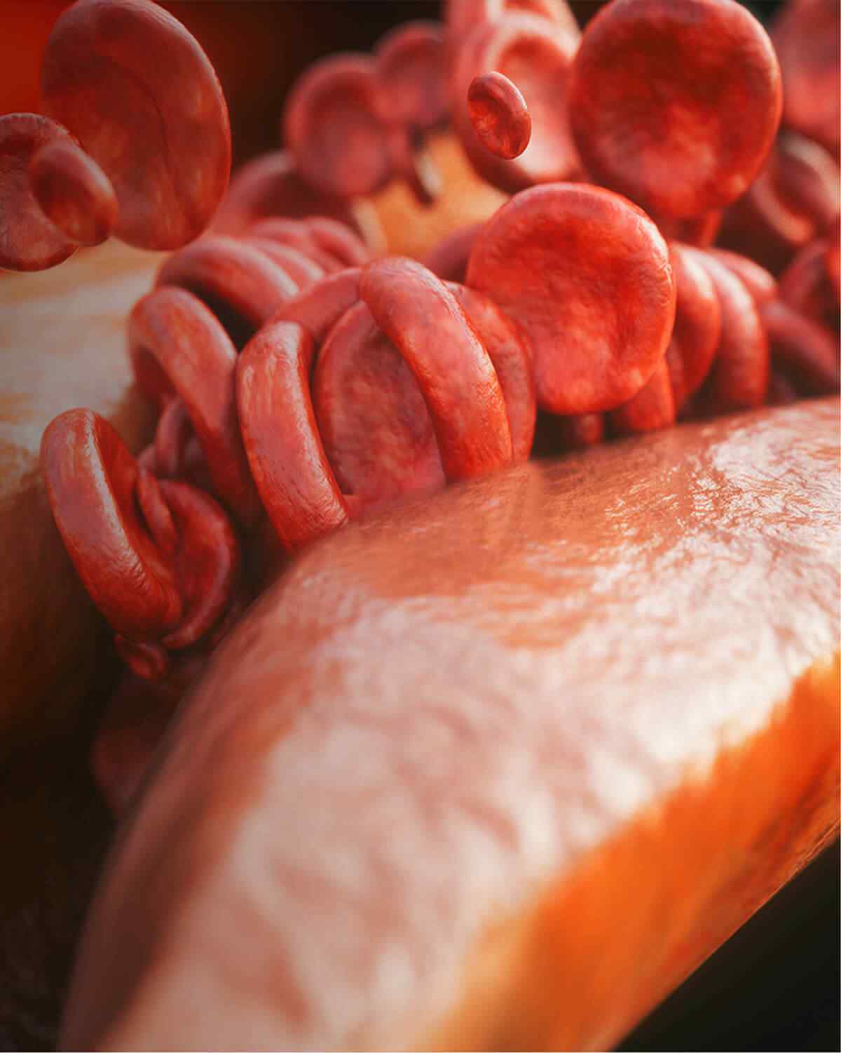 https://hydrationcorner.com/wp-content/uploads/2021/08/interactive_image_right-3.jpg